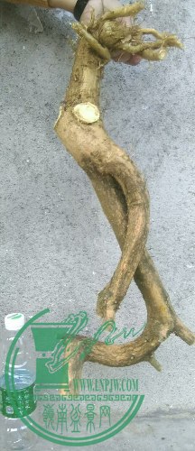 1451491661364.jpeg