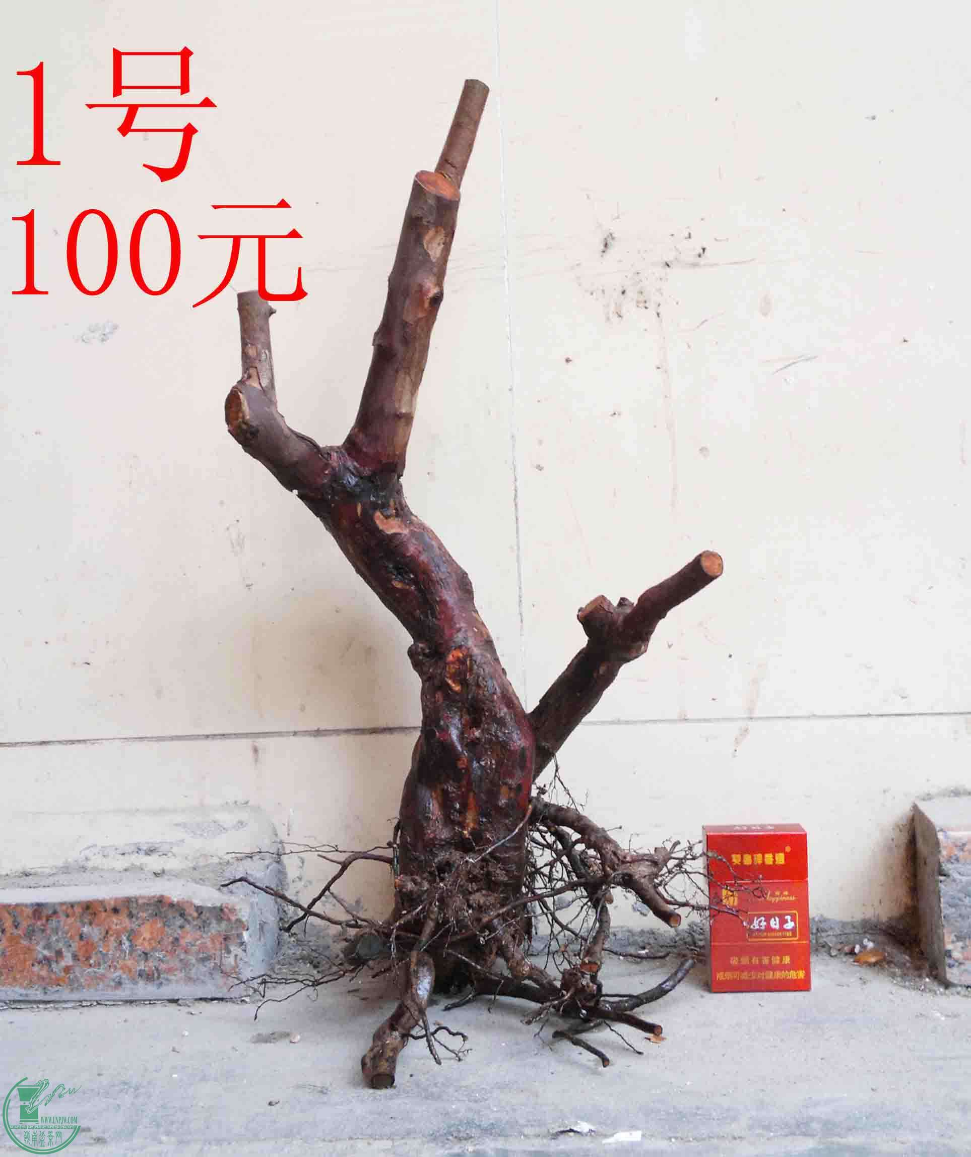 201512306867.jpg