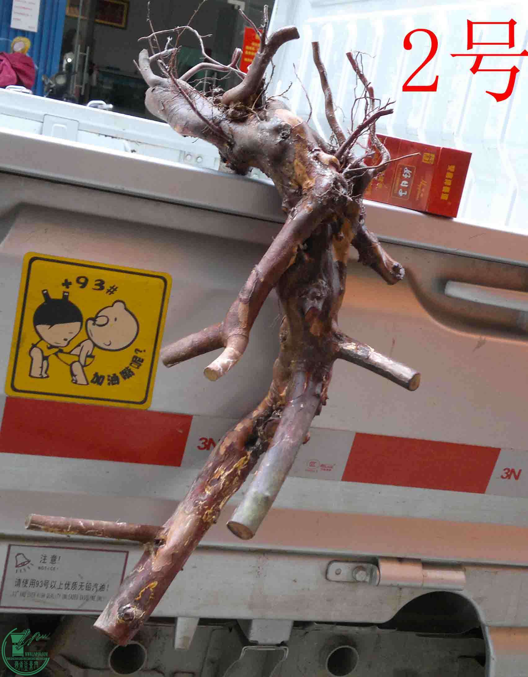 201512306880.jpg