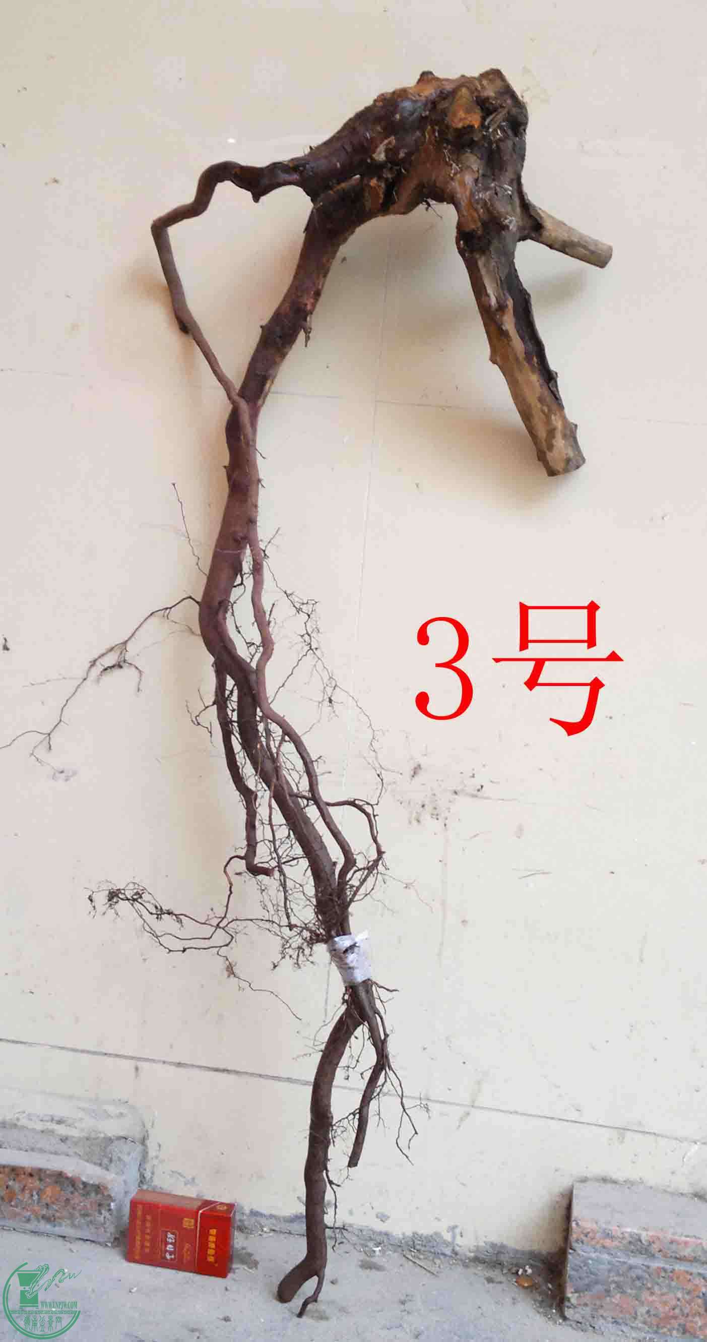 201512306885.jpg