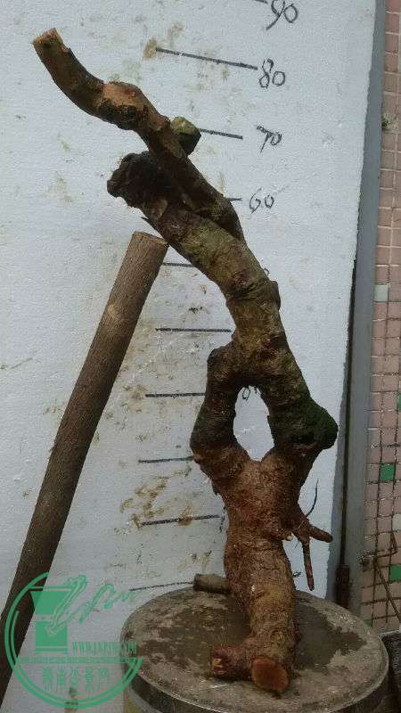 723839