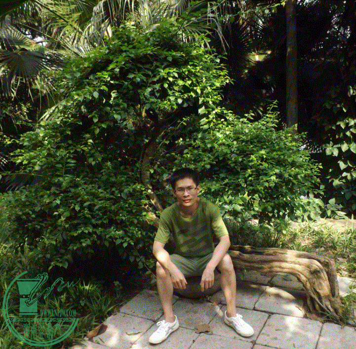 001.gif