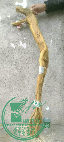 1451587335735.jpeg