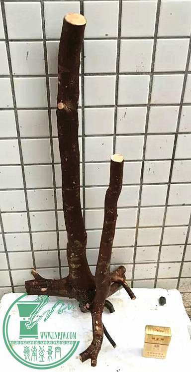 5_.jpg