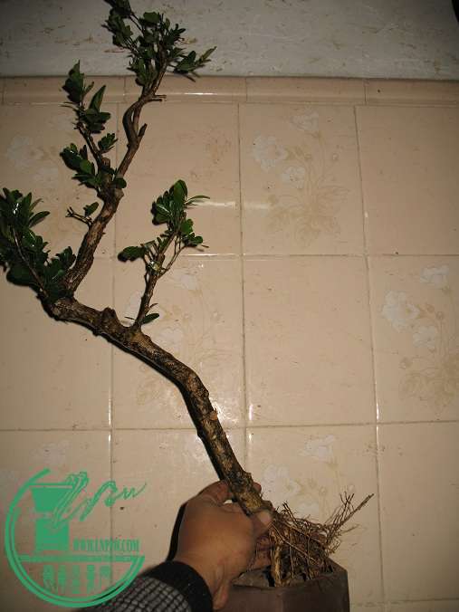 046.JPG