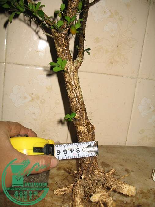 050.JPG