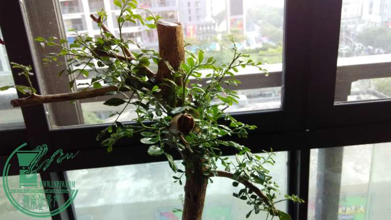 IMG_20160102_174334.jpg