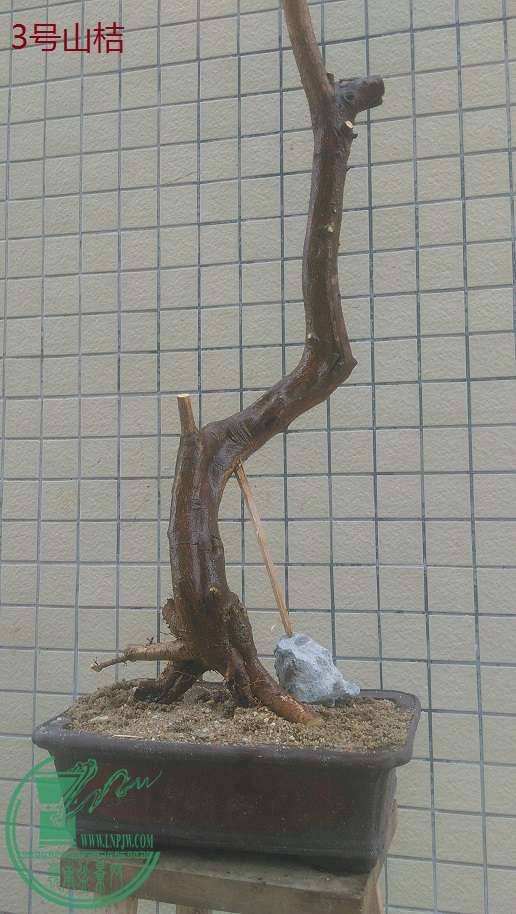 QQͼƬ20160102163535.jpg