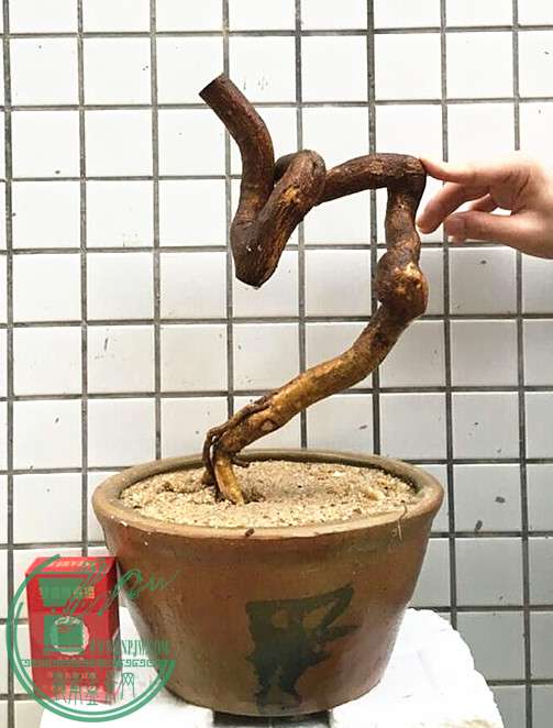 6_.jpg