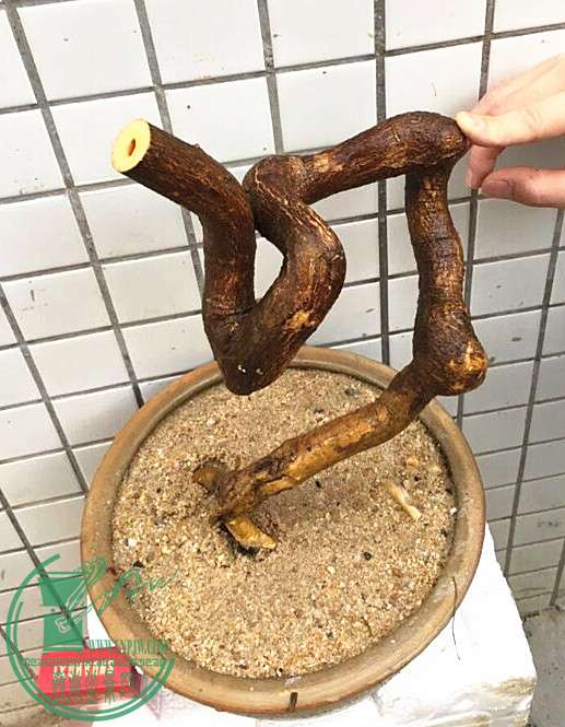 8_.jpg