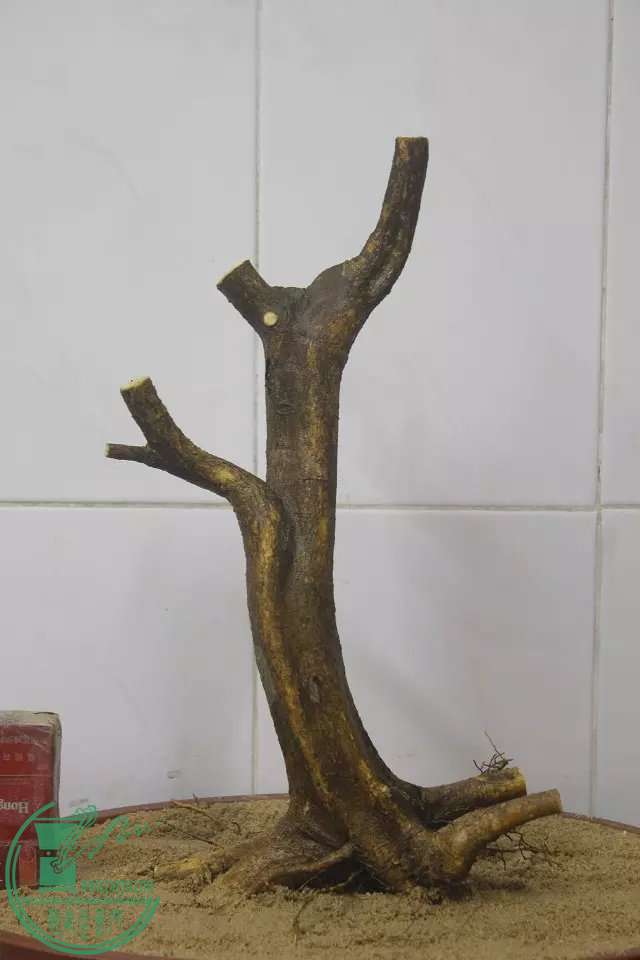 psb (1).jpg