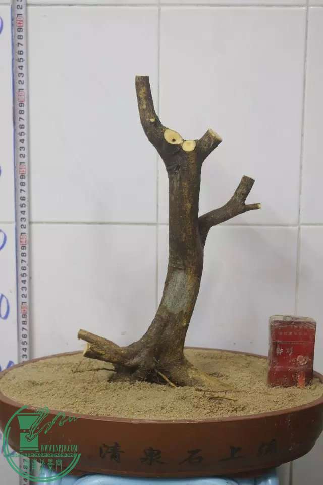 psb (2).jpg