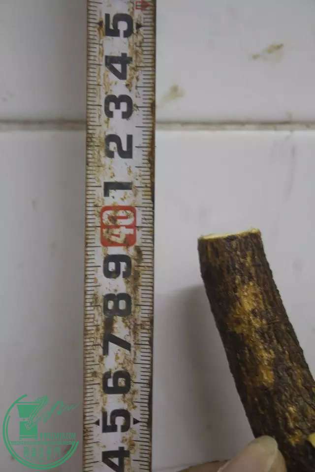 psb (4).jpg