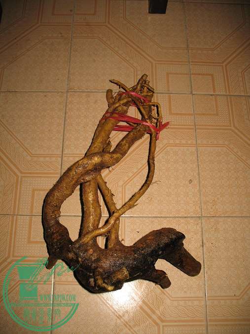 030.JPG