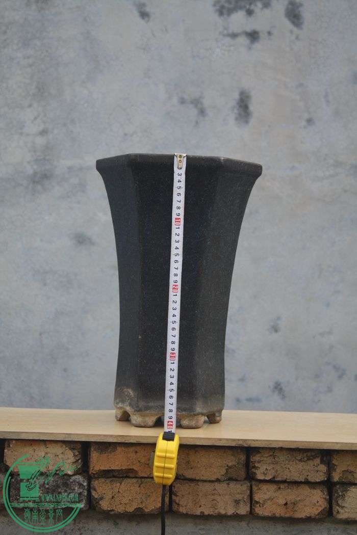 Ƭ20131026ۺ 558.jpg