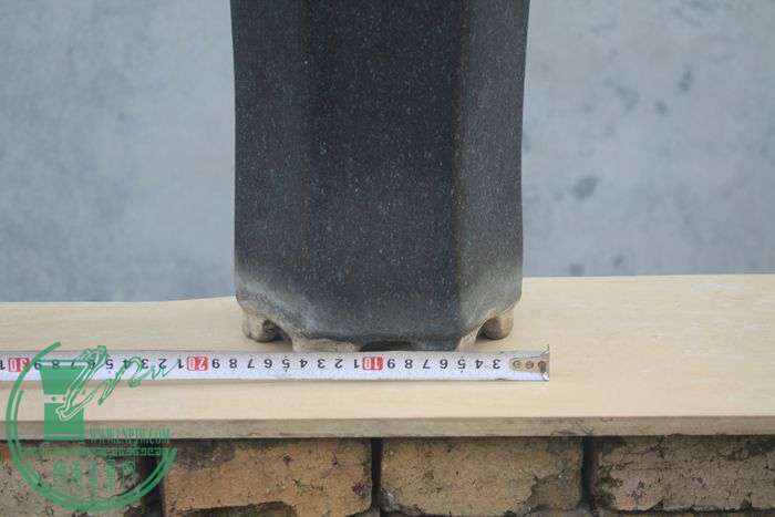 Ƭ20131026ۺ 559.jpg