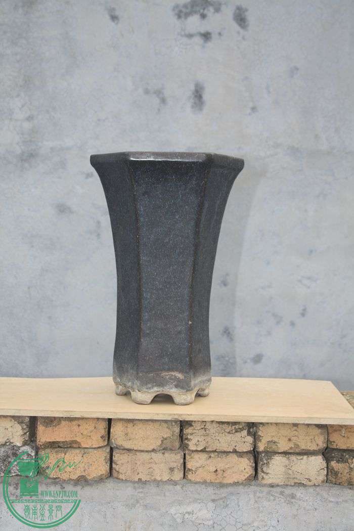 Ƭ20131026ۺ 552.jpg