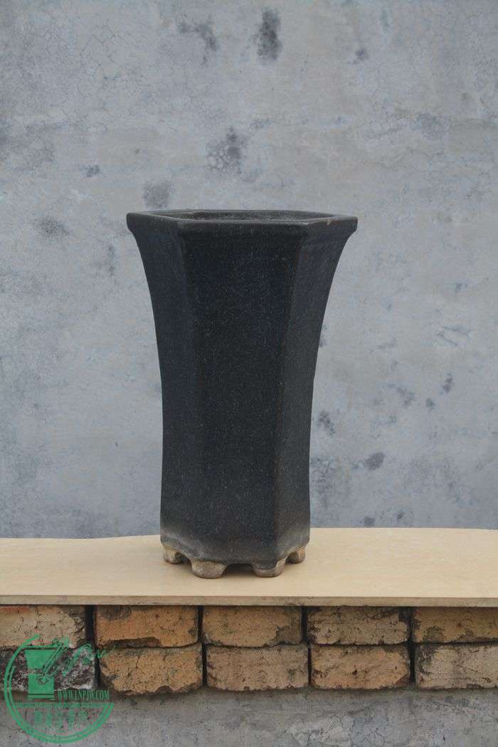 Ƭ20131026ۺ 568.jpg