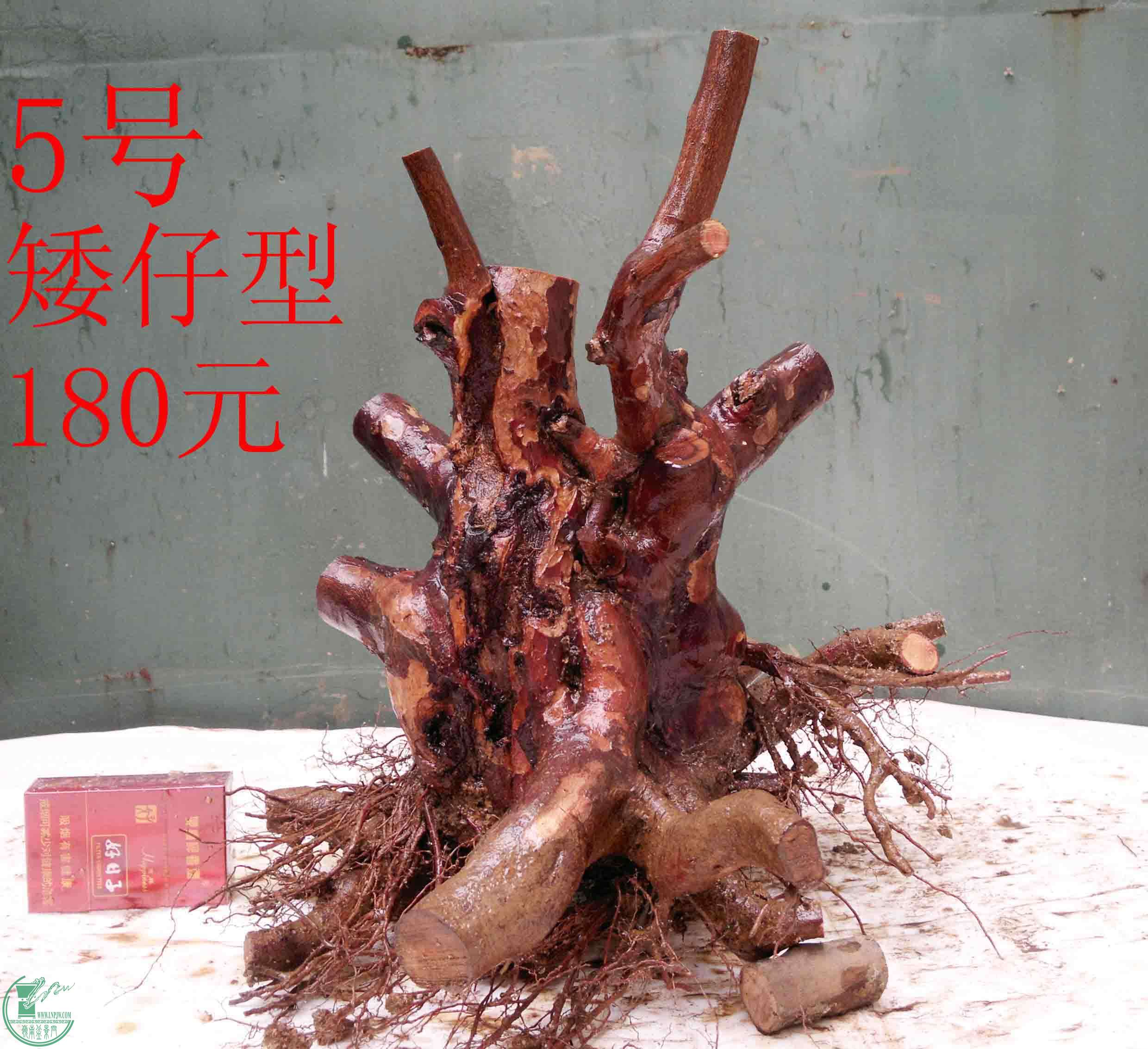 201601027000.jpg