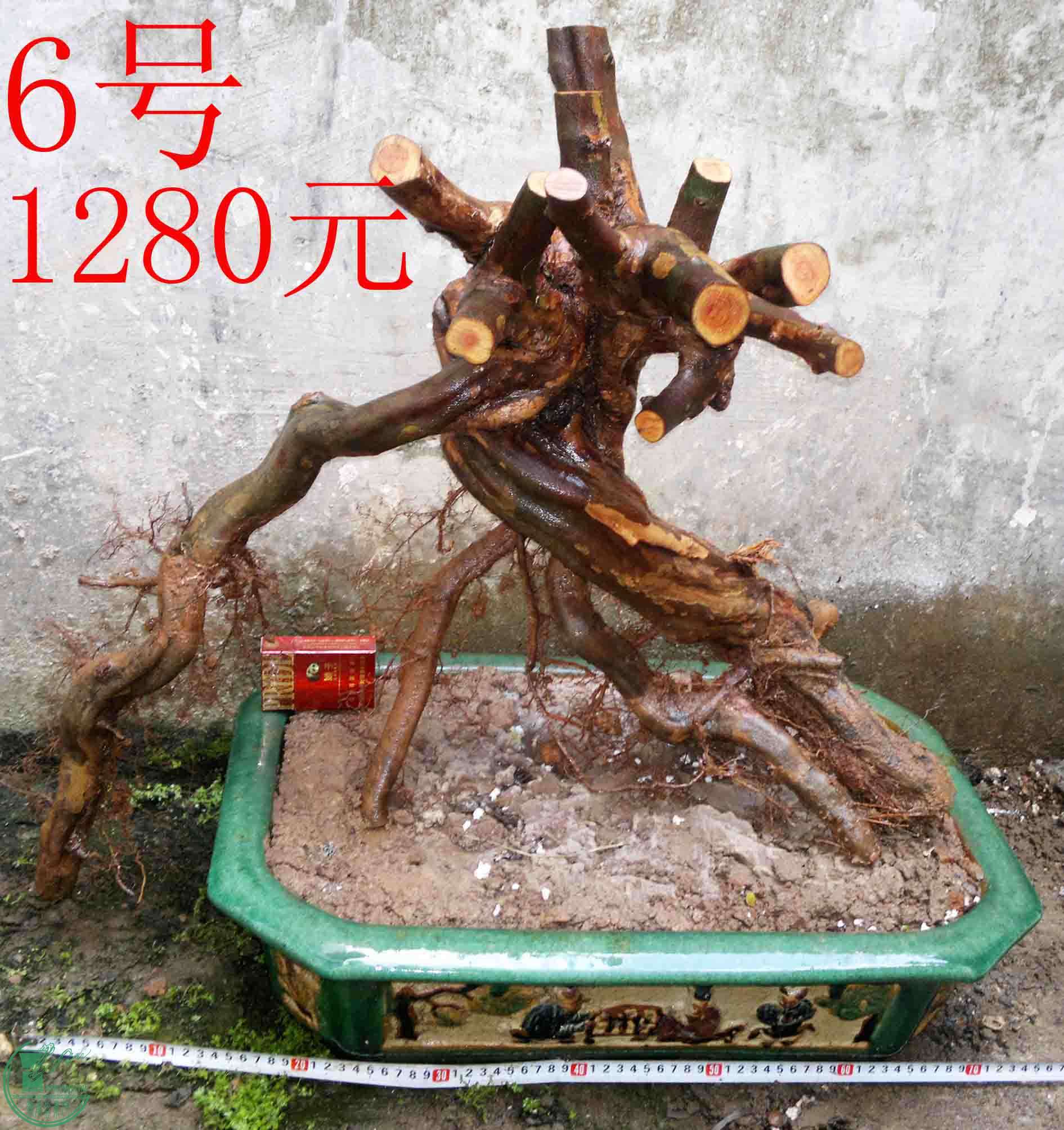 201601037038.jpg