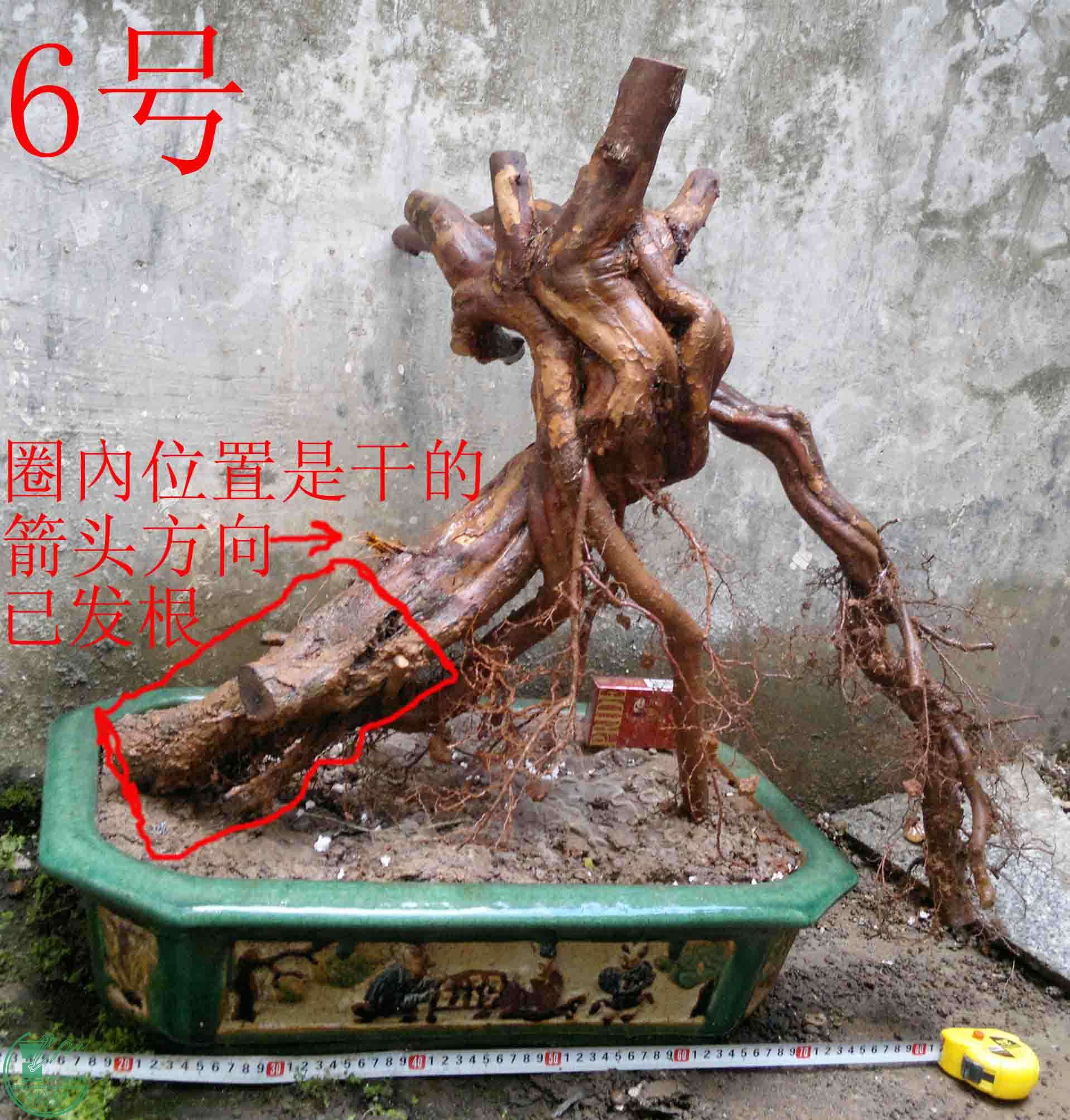 201601037043.jpg