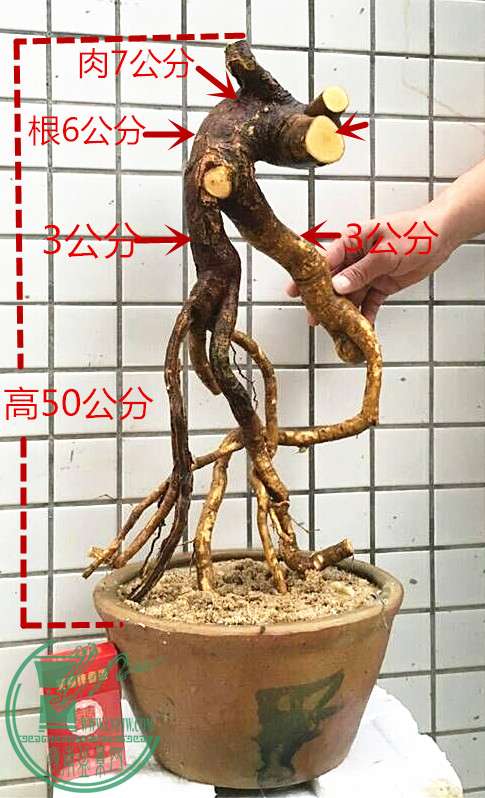 12_1.jpg