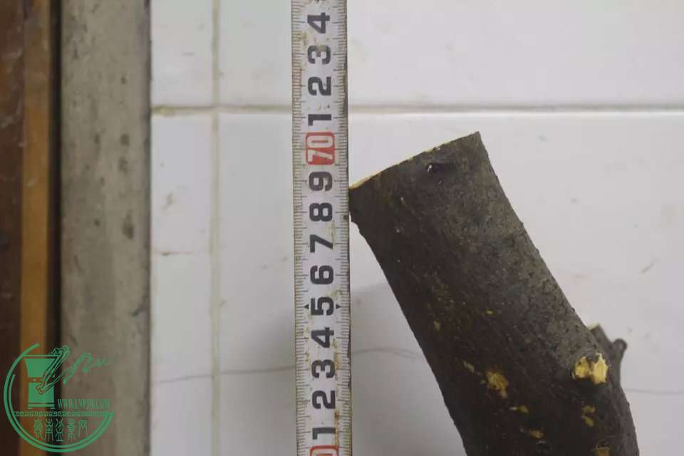 psb (5).jpg