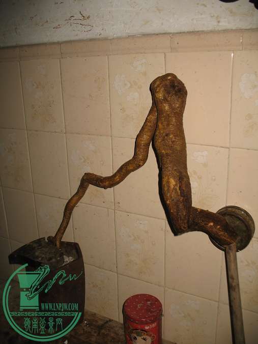 050.JPG