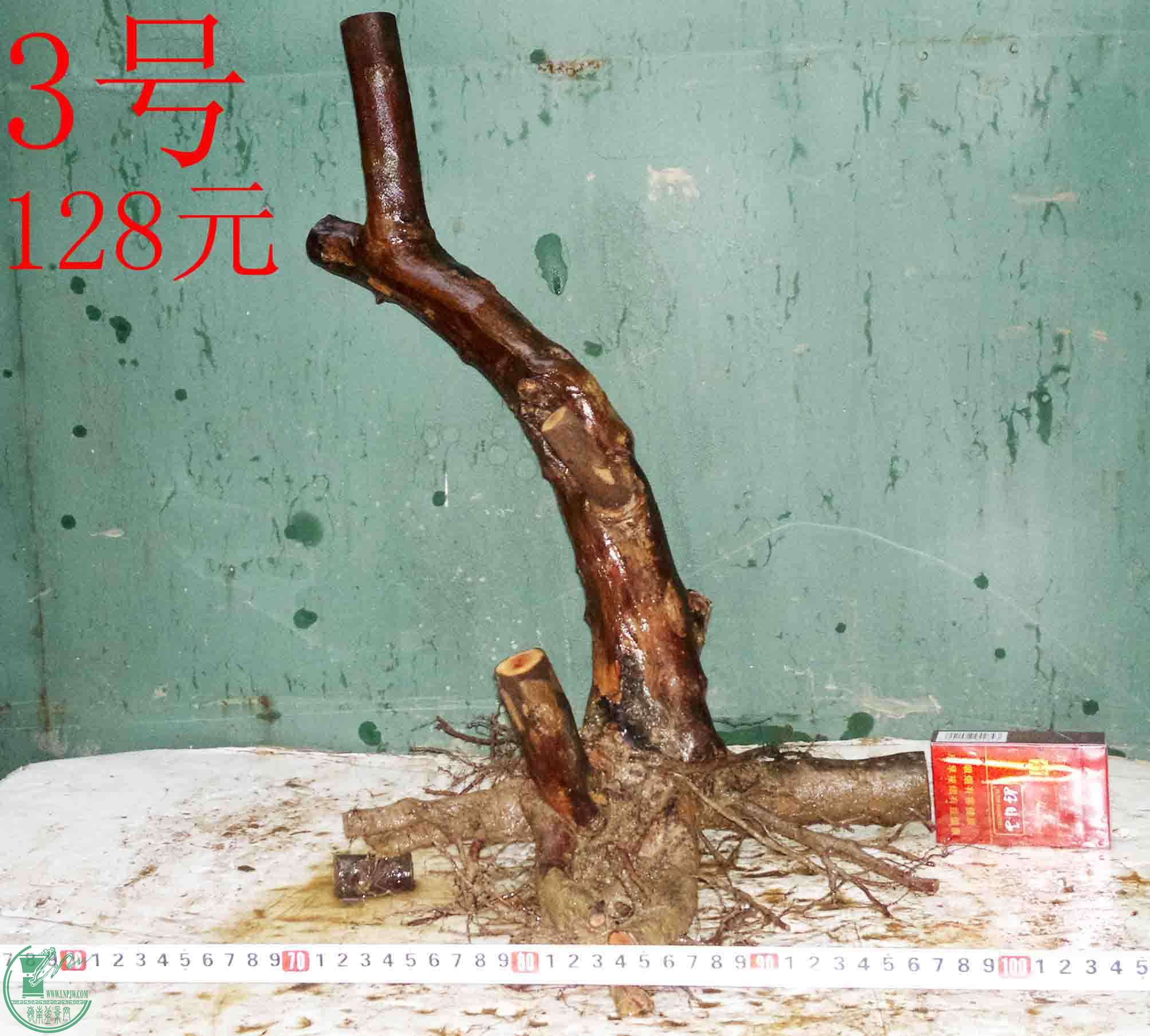 201601037233.jpg