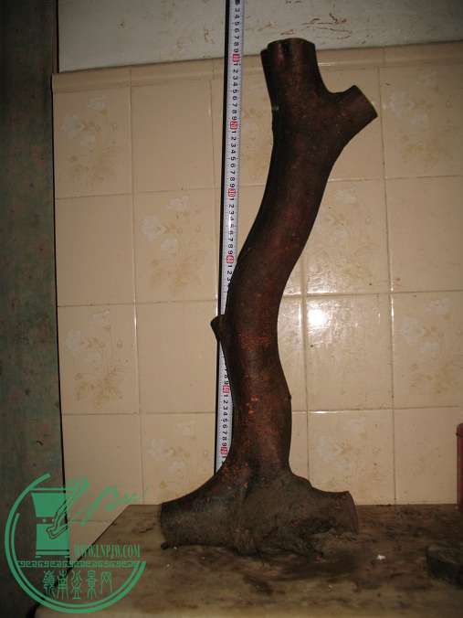 070.JPG