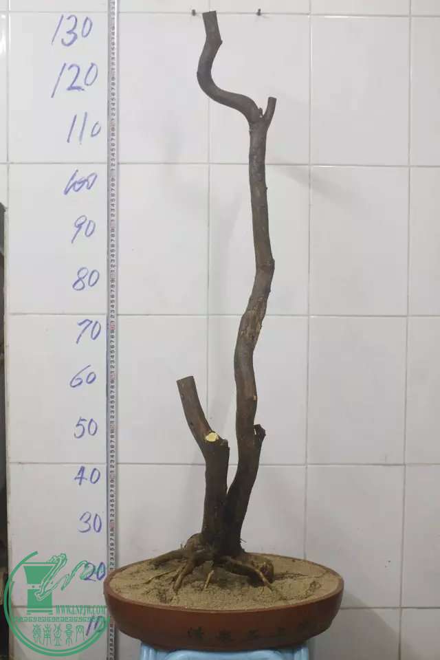 psb (3).jpg
