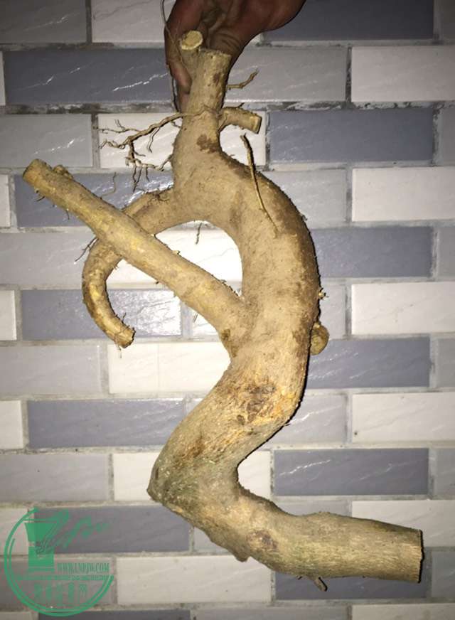 image.jpeg