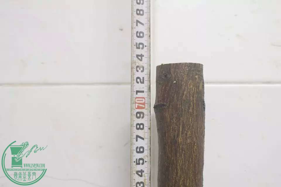 psb (3).jpg