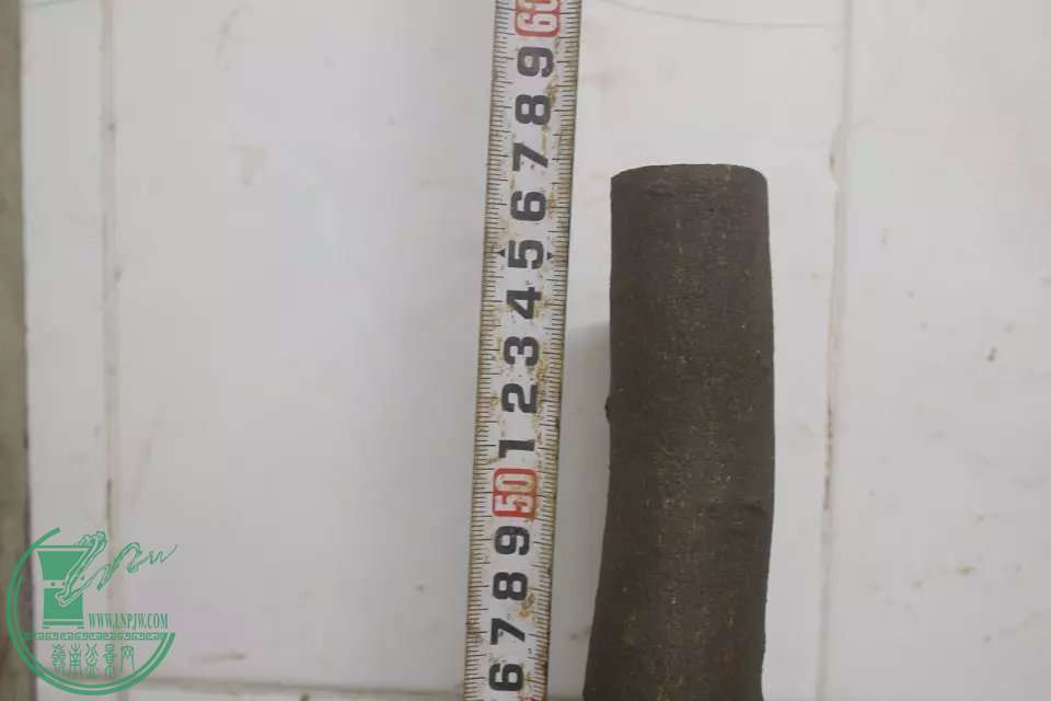 psb (14).jpg