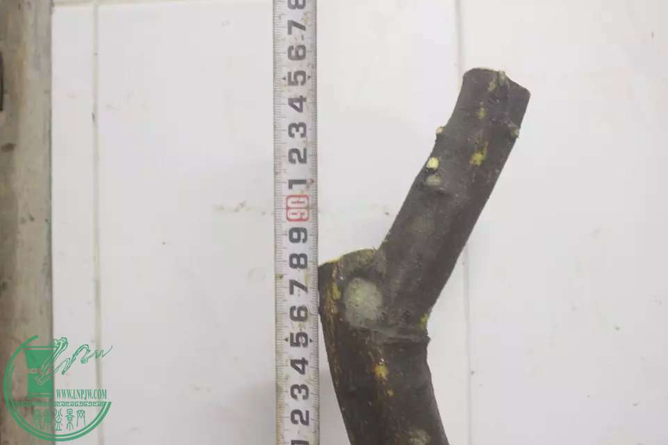 psb (8).jpg