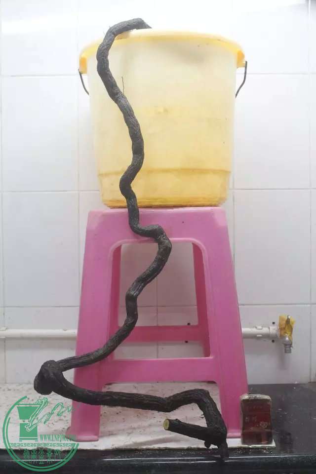psb (1).jpg