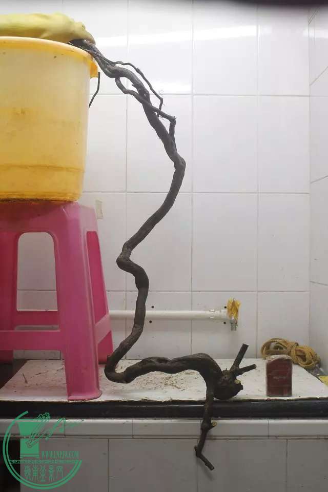 psb (3).jpg