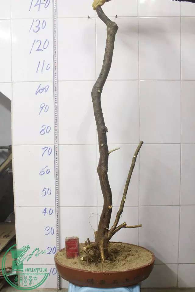 psb (3).jpg