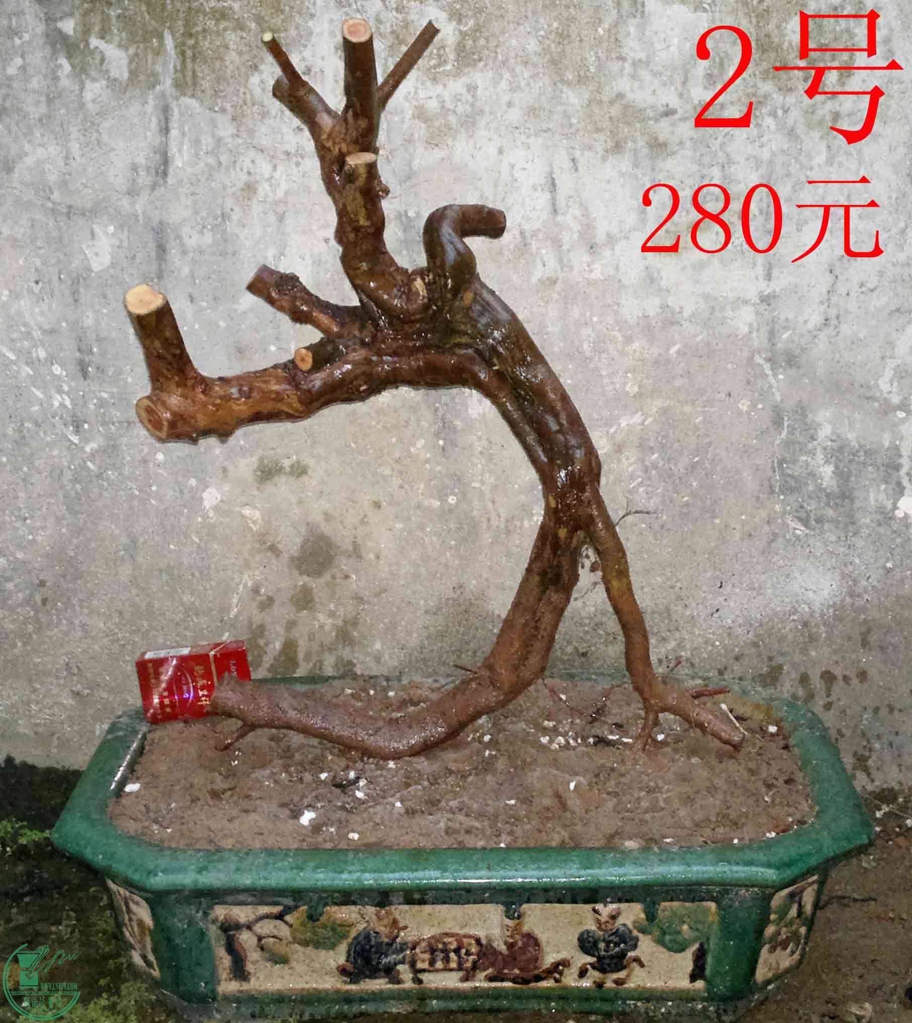 201601067395.jpg