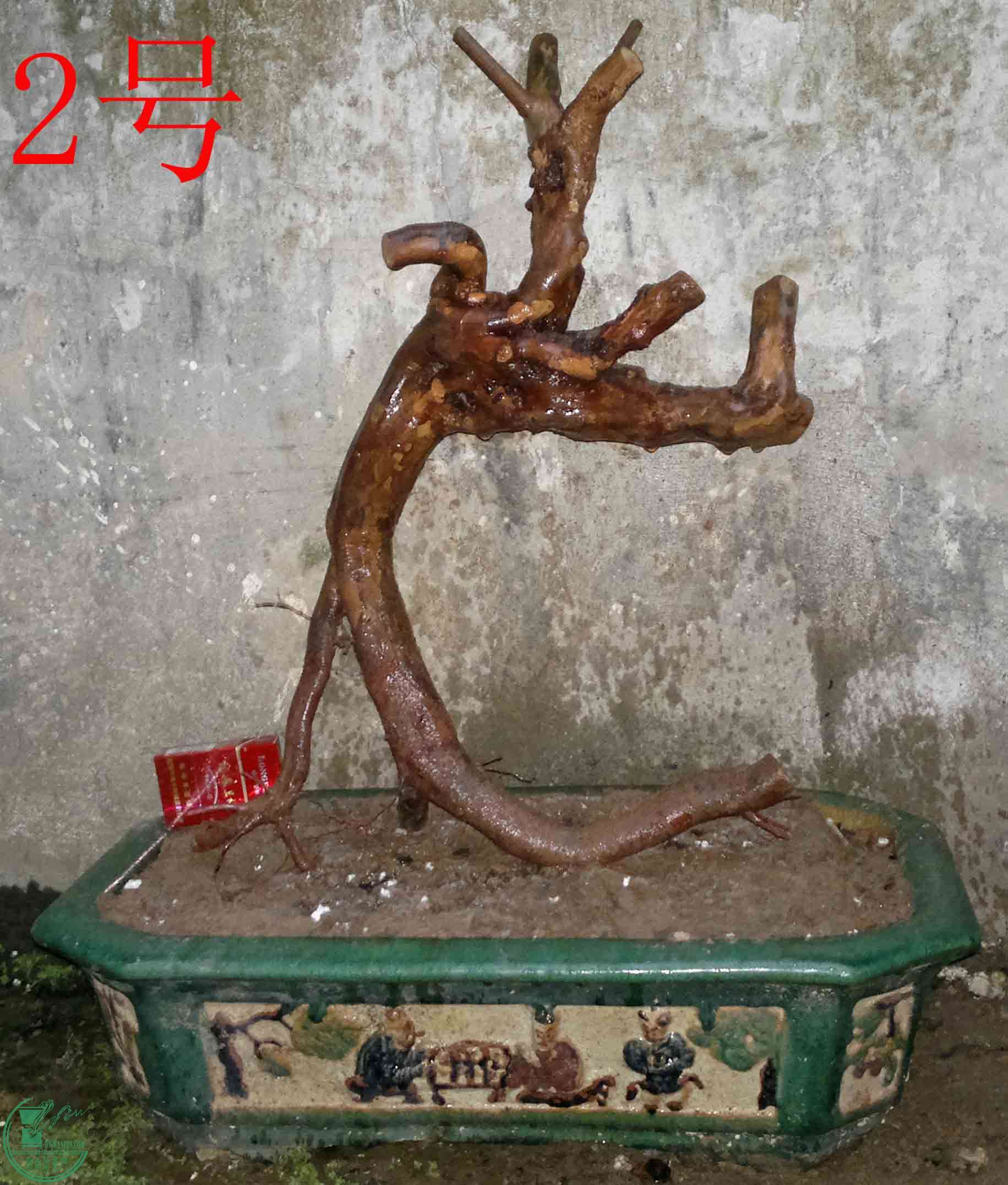 201601067413.jpg