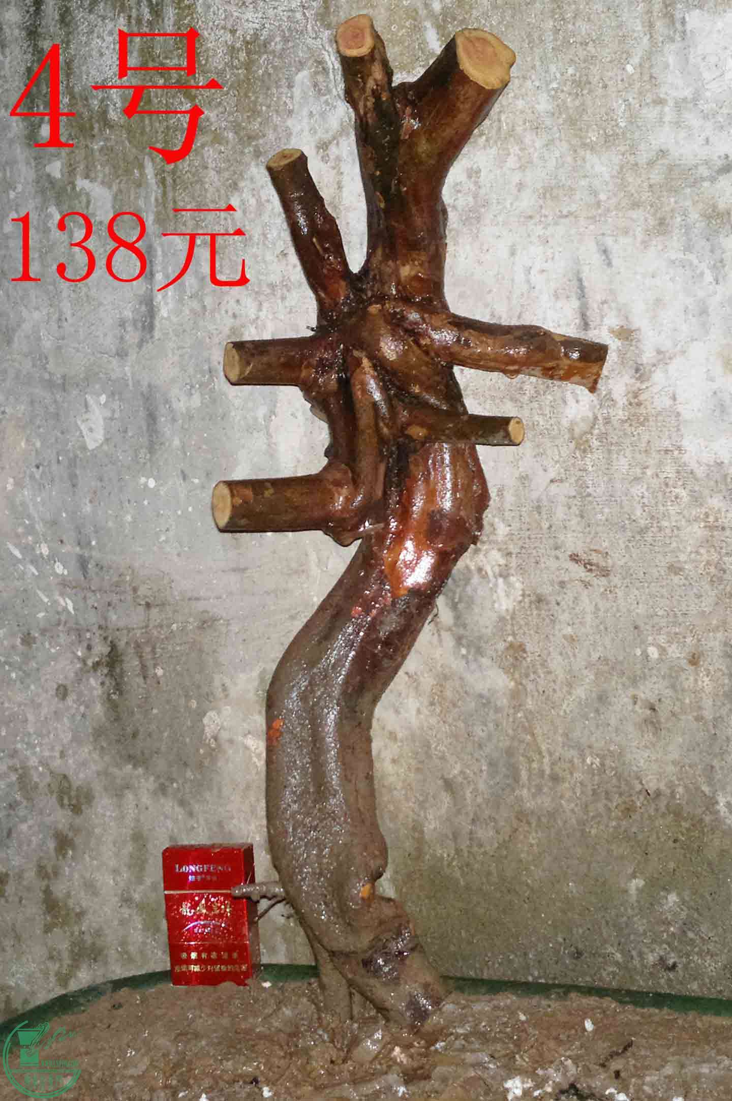 201601067452.jpg