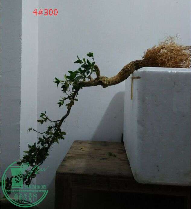 QQͼƬ20160106211246.jpg