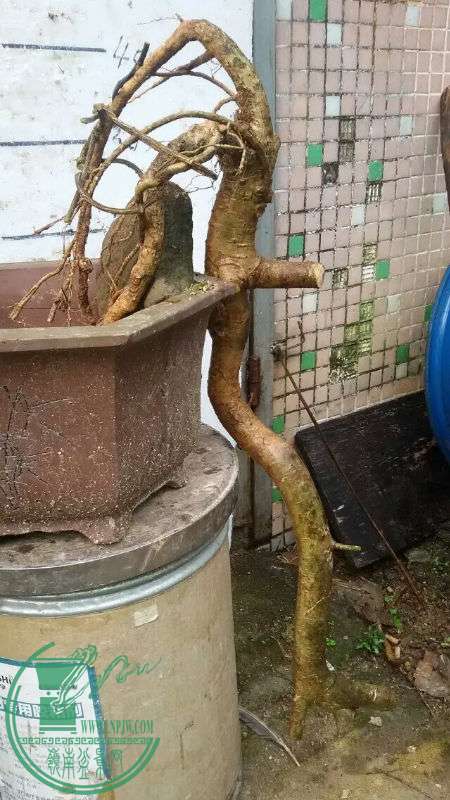 727765