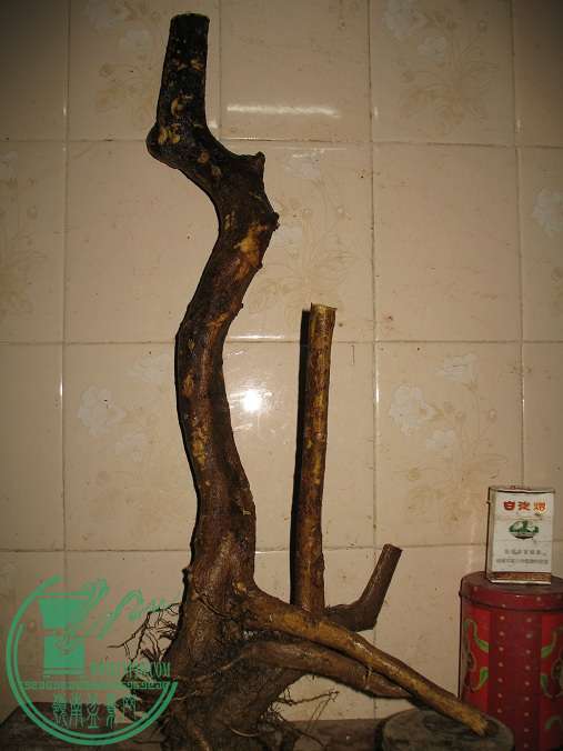010.JPG