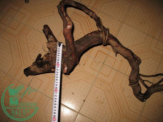 040.JPG