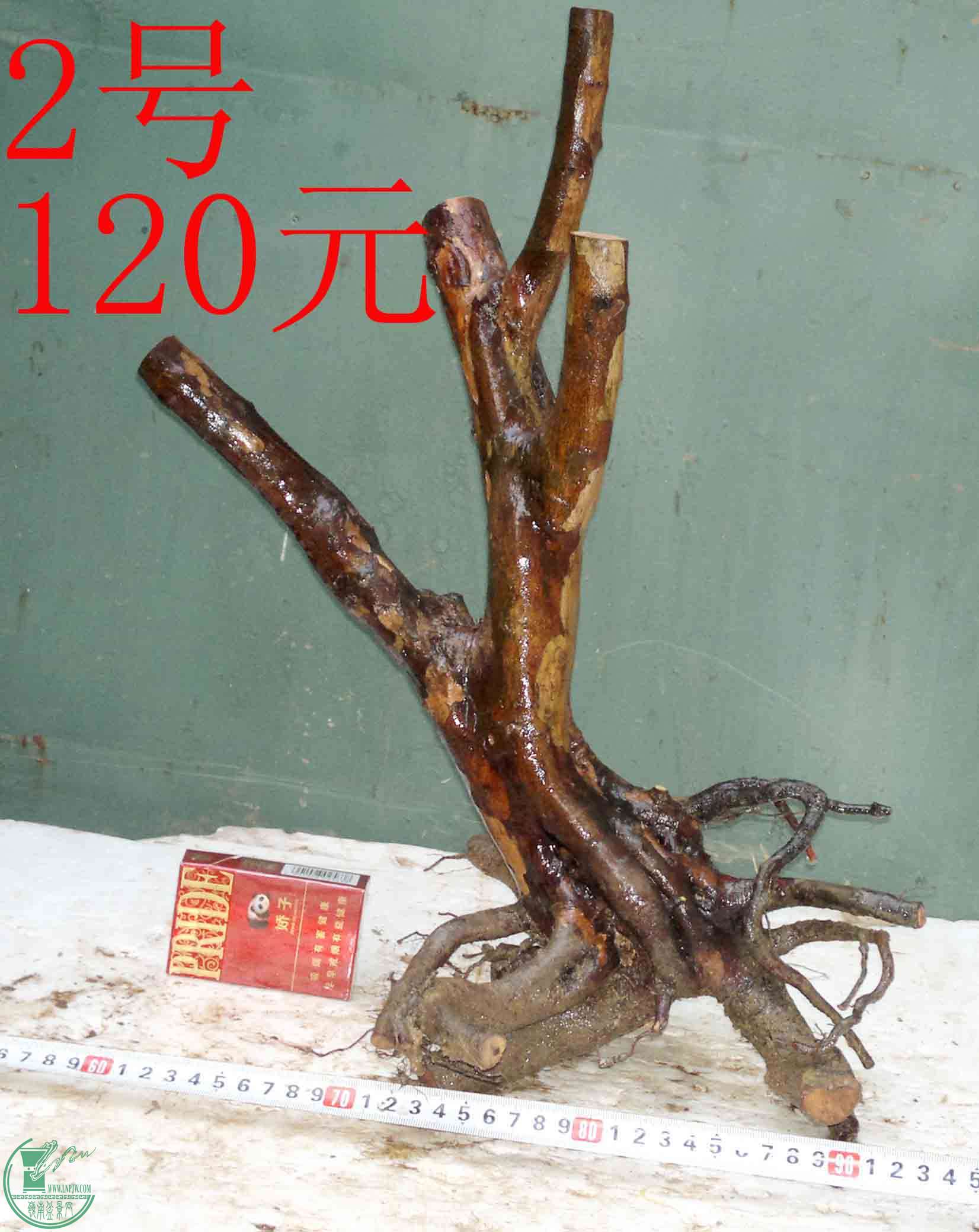 201601077495.jpg