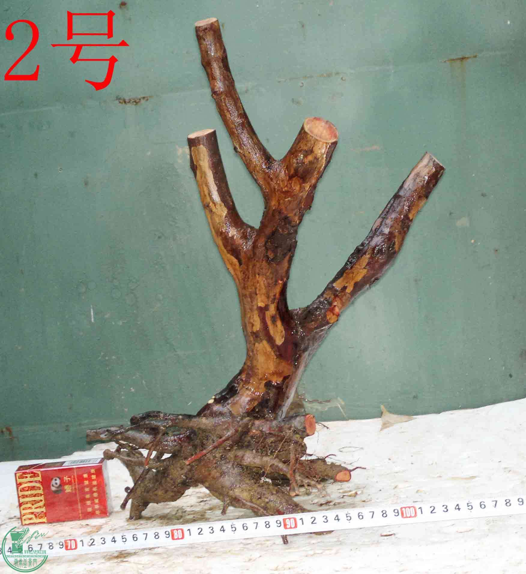 201601077507.jpg