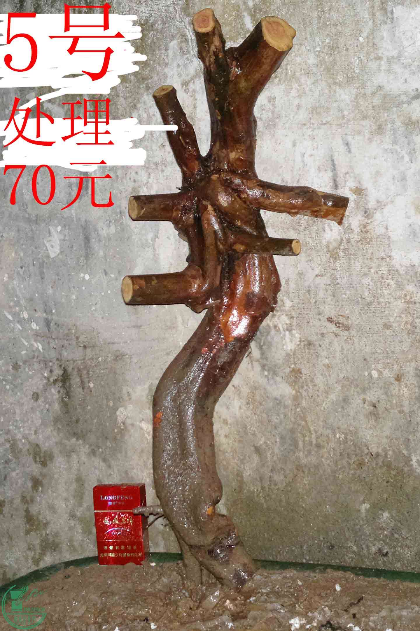 201601067452.jpg