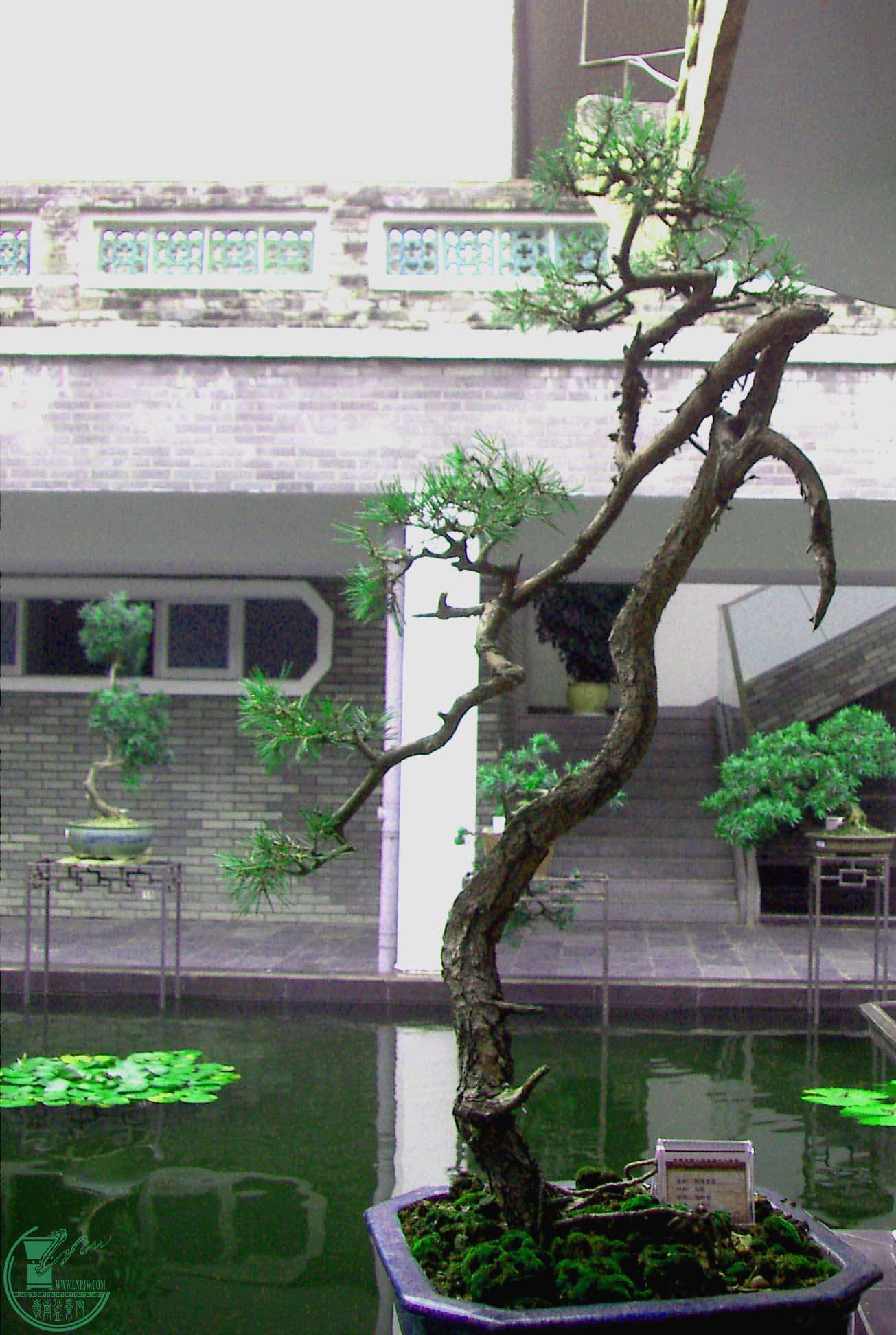 PICT2290.jpg