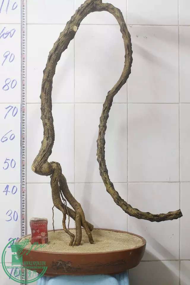 psb (1).jpg
